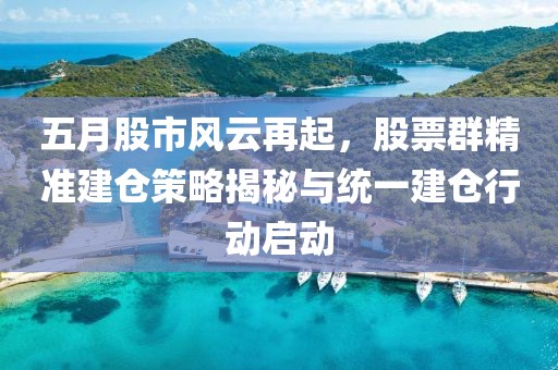 五月股市风云再起，股票群精准建仓策略揭秘与统一建仓行动启动