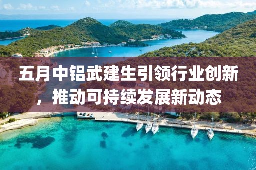 五月中铝武建生引领行业创新，推动可持续发展新动态