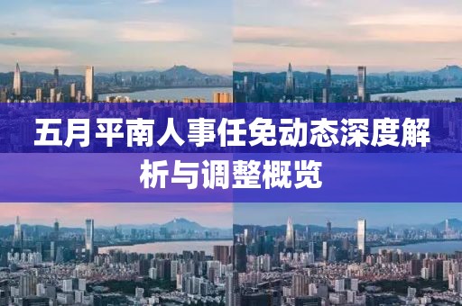 五月平南人事任免动态深度解析与调整概览