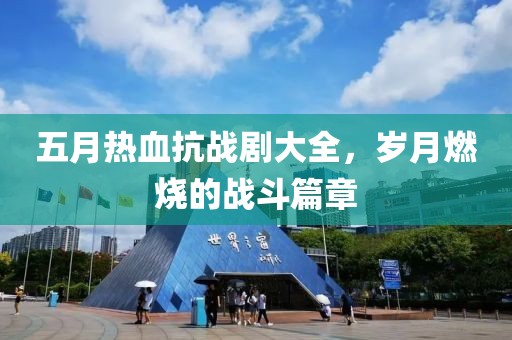 五月热血抗战剧大全，岁月燃烧的战斗篇章