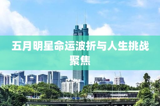 五月明星命运波折与人生挑战聚焦