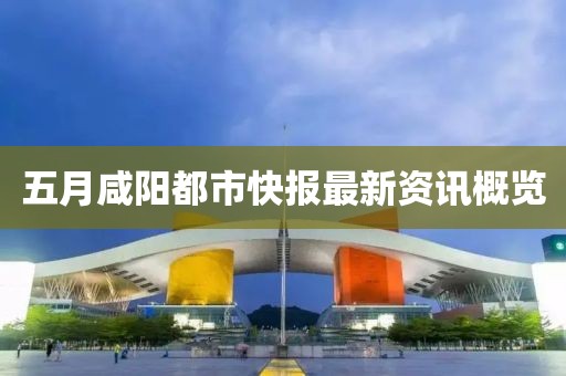 五月咸阳都市快报最新资讯概览
