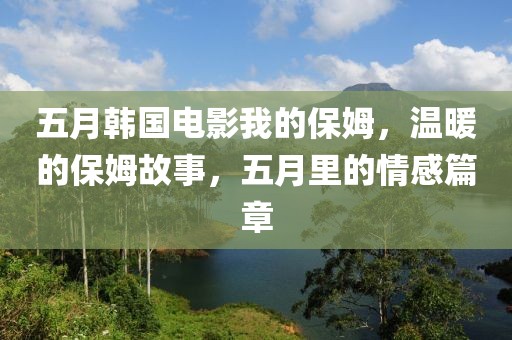 五月韩国电影我的保姆，温暖的保姆故事，五月里的情感篇章