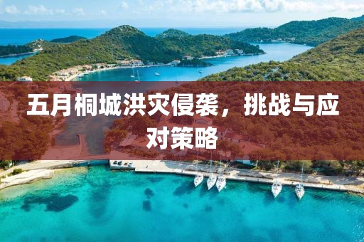五月桐城洪灾侵袭，挑战与应对策略