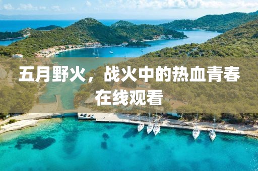 五月野火，战火中的热血青春在线观看