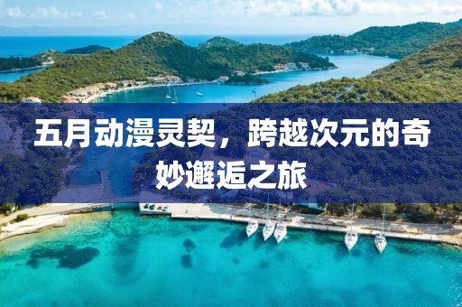 五月动漫灵契，跨越次元的奇妙邂逅之旅