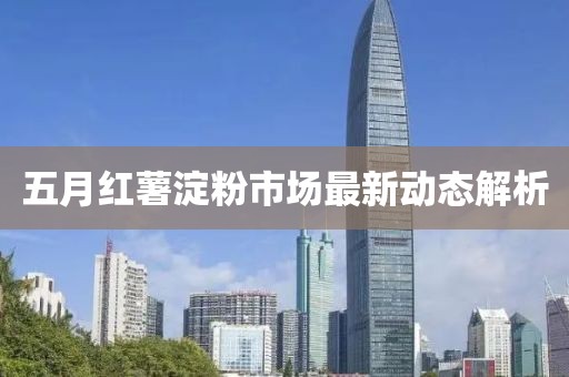 五月红薯淀粉市场最新动态解析