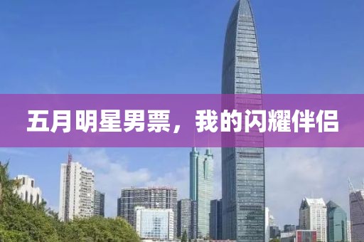 五月明星男票，我的闪耀伴侣