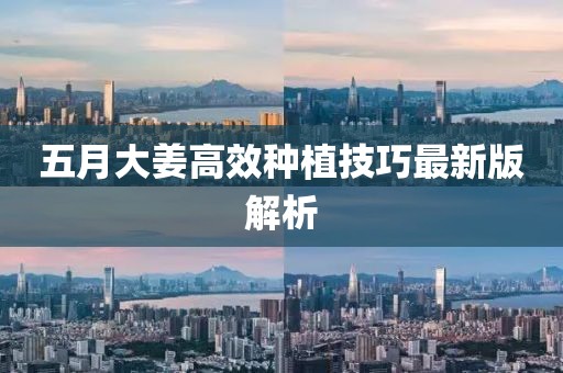 五月大姜高效种植技巧最新版解析