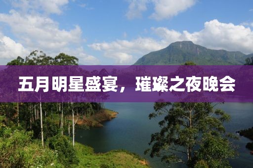 五月明星盛宴，璀璨之夜晚会