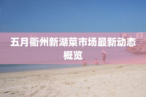五月衢州新湖菜市场最新动态概览