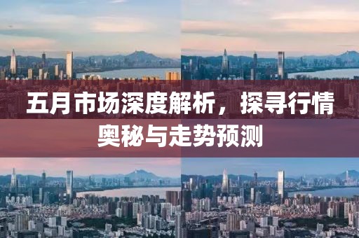 五月市场深度解析，探寻行情奥秘与走势预测