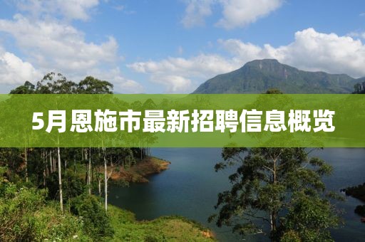 5月恩施市最新招聘信息概览