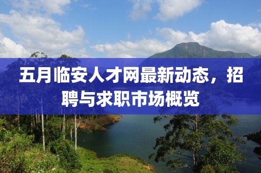 五月临安人才网最新动态，招聘与求职市场概览