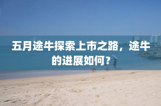 五月途牛探索上市之路，途牛的进展如何？