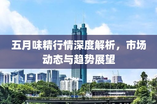 五月味精行情深度解析，市场动态与趋势展望