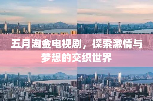 五月淘金电视剧，探索激情与梦想的交织世界