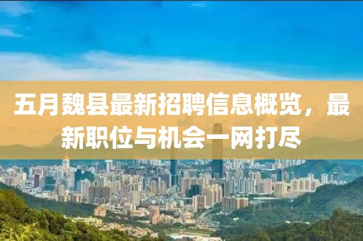 五月魏县最新招聘信息概览，最新职位与机会一网打尽