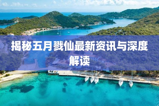 揭秘五月戮仙最新资讯与深度解读