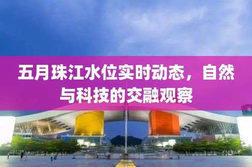 五月珠江水位实时动态，自然与科技的交融观察