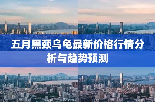 五月黑颈乌龟最新价格行情分析与趋势预测
