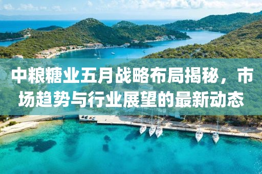 中粮糖业五月战略布局揭秘，市场趋势与行业展望的最新动态