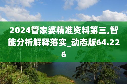 2024管家婆精准资料第三,智能分析解释落实_动态版64.226