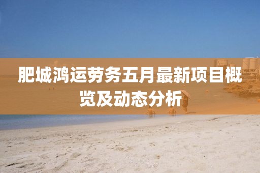 肥城鸿运劳务五月最新项目概览及动态分析