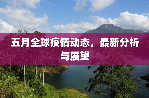 五月全球疫情动态，最新分析与展望