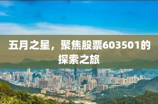 五月之星，聚焦股票603501的探索之旅