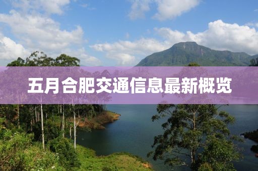 五月合肥交通信息最新概览