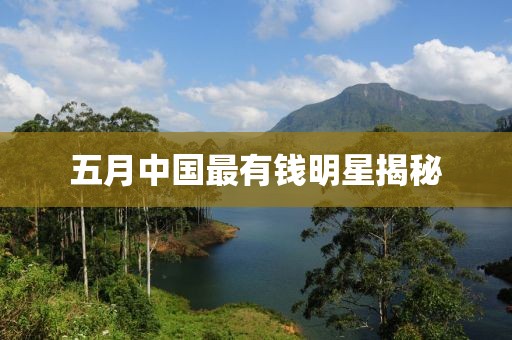 五月中国最有钱明星揭秘