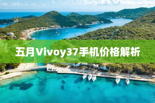 五月Vivoy37手机价格解析