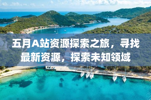 五月A站资源探索之旅，寻找最新资源，探索未知领域