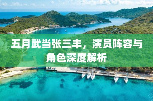 五月武当张三丰，演员阵容与角色深度解析