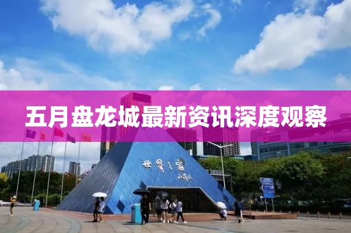 五月盘龙城最新资讯深度观察
