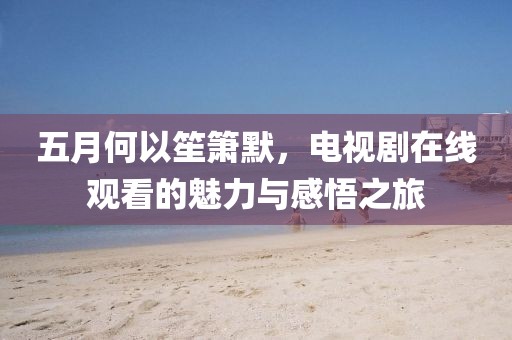 五月何以笙箫默，电视剧在线观看的魅力与感悟之旅