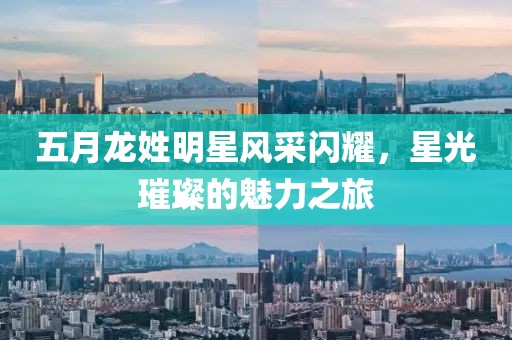 五月龙姓明星风采闪耀，星光璀璨的魅力之旅