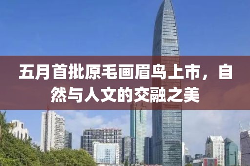 五月首批原毛画眉鸟上市，自然与人文的交融之美