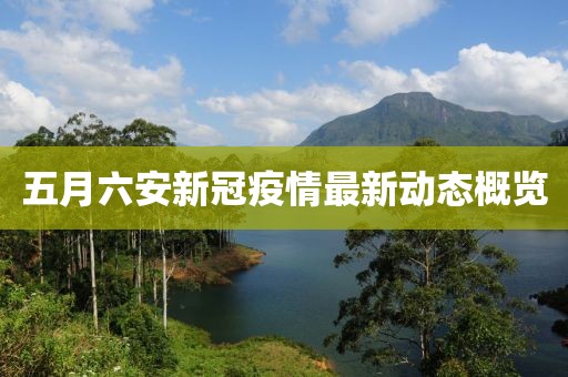 五月六安新冠疫情最新动态概览