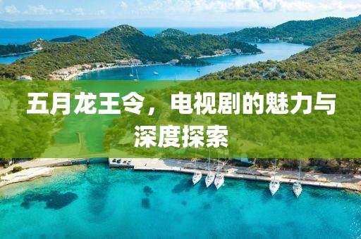 五月龙王令，电视剧的魅力与深度探索