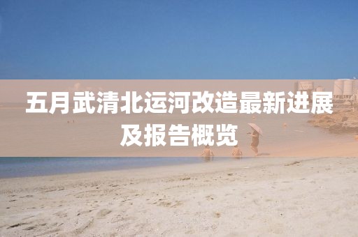 五月武清北运河改造最新进展及报告概览