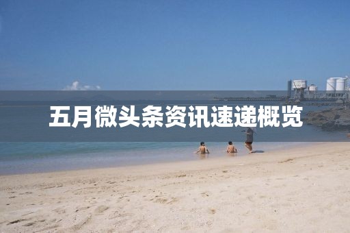 五月微头条资讯速递概览