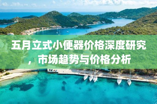 五月立式小便器价格深度研究，市场趋势与价格分析