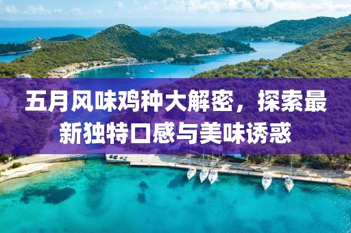 五月风味鸡种大解密，探索最新独特口感与美味诱惑