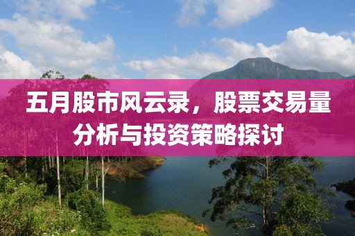 五月股市风云录，股票交易量分析与投资策略探讨