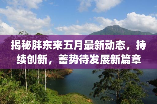 揭秘胖东来五月最新动态，持续创新，蓄势待发展新篇章