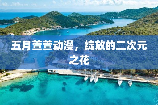 五月萱萱动漫，绽放的二次元之花