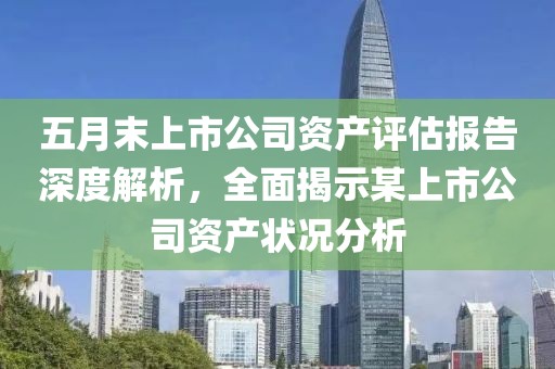 五月末上市公司资产评估报告深度解析，全面揭示某上市公司资产状况分析