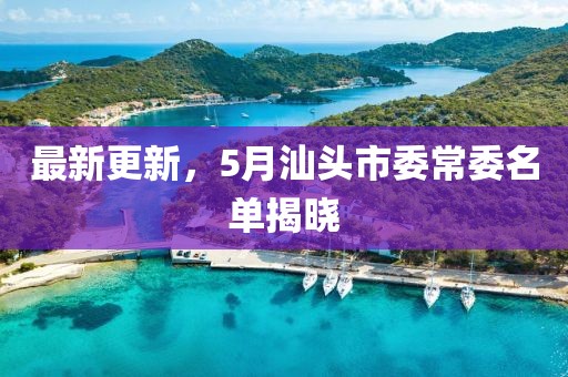 最新更新，5月汕头市委常委名单揭晓